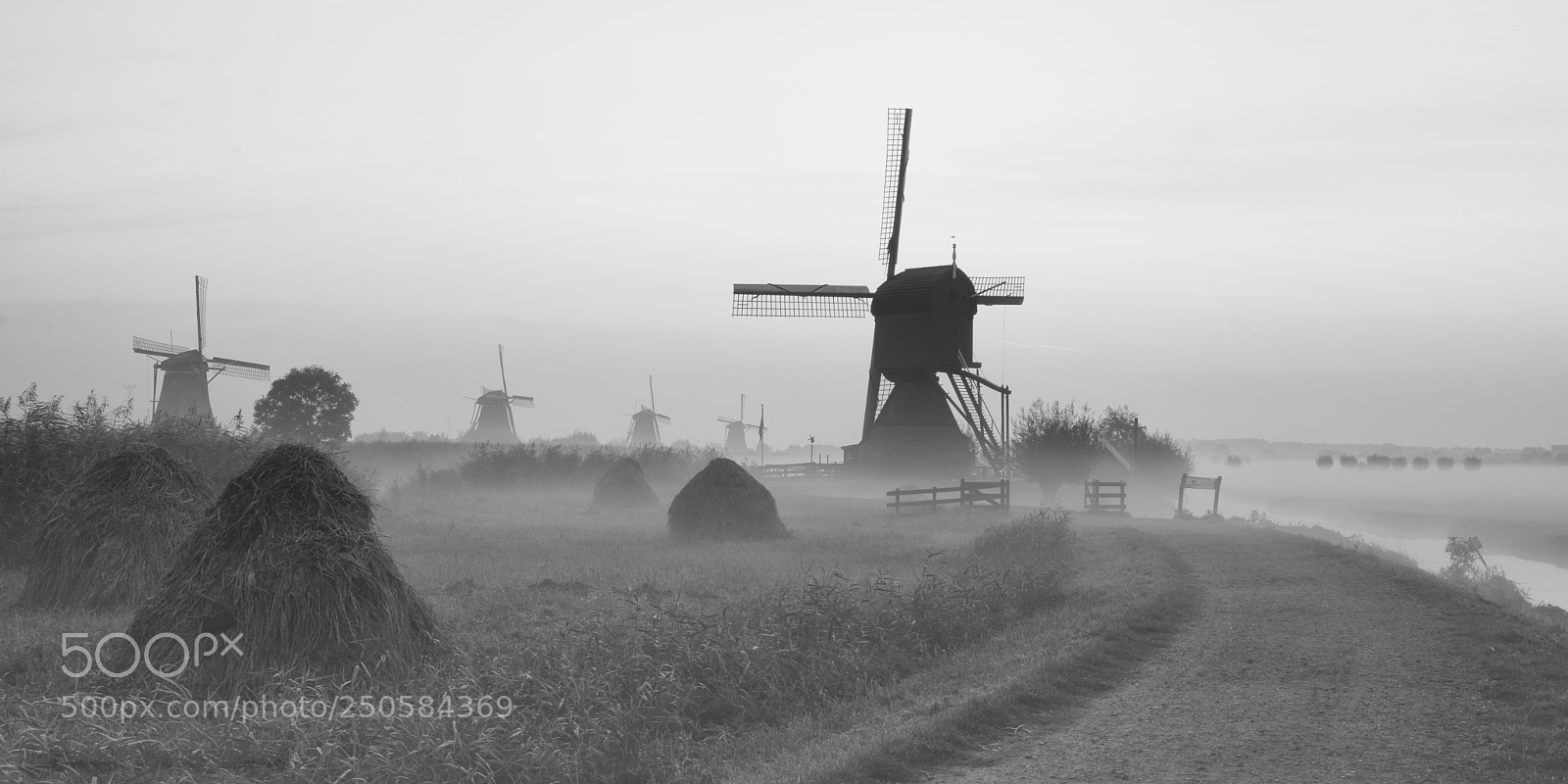Nikon D7100 sample photo. Holland photography