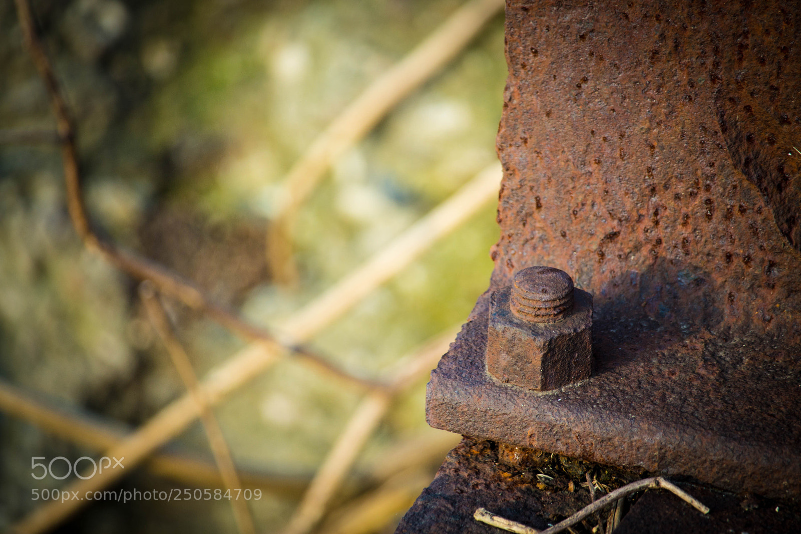 Canon EOS 700D (EOS Rebel T5i / EOS Kiss X7i) sample photo. Rusty steel photography