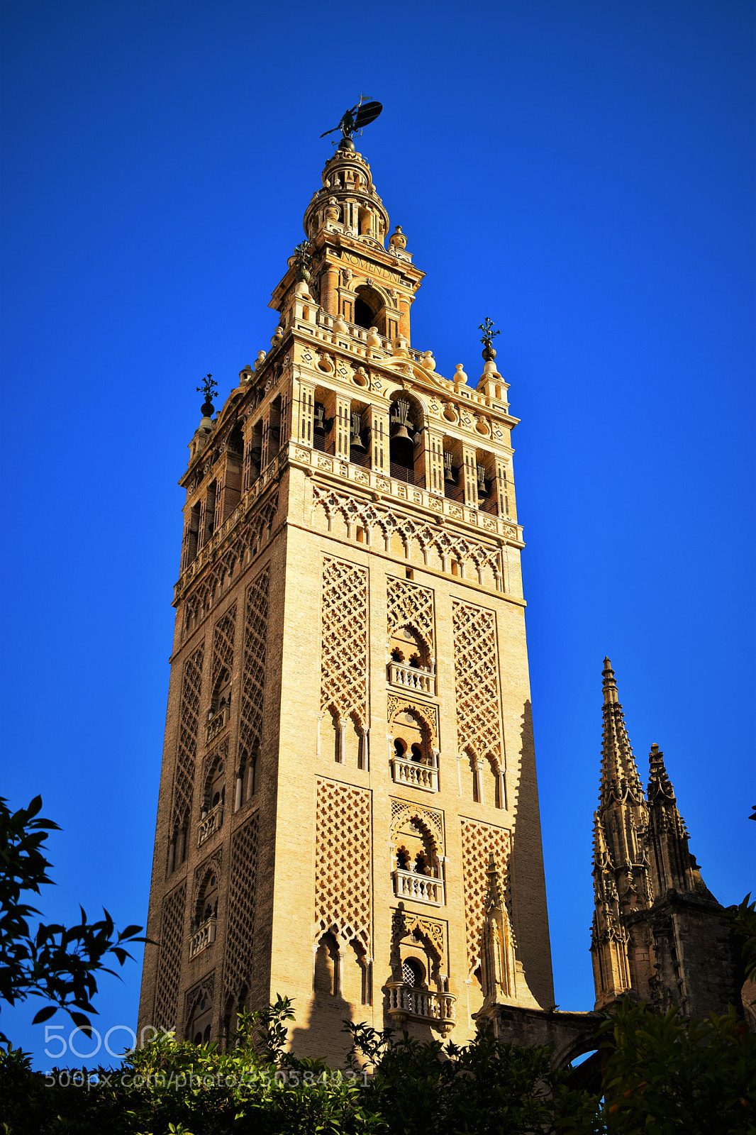 Nikon D3300 sample photo. Seville cathedral 2 photography