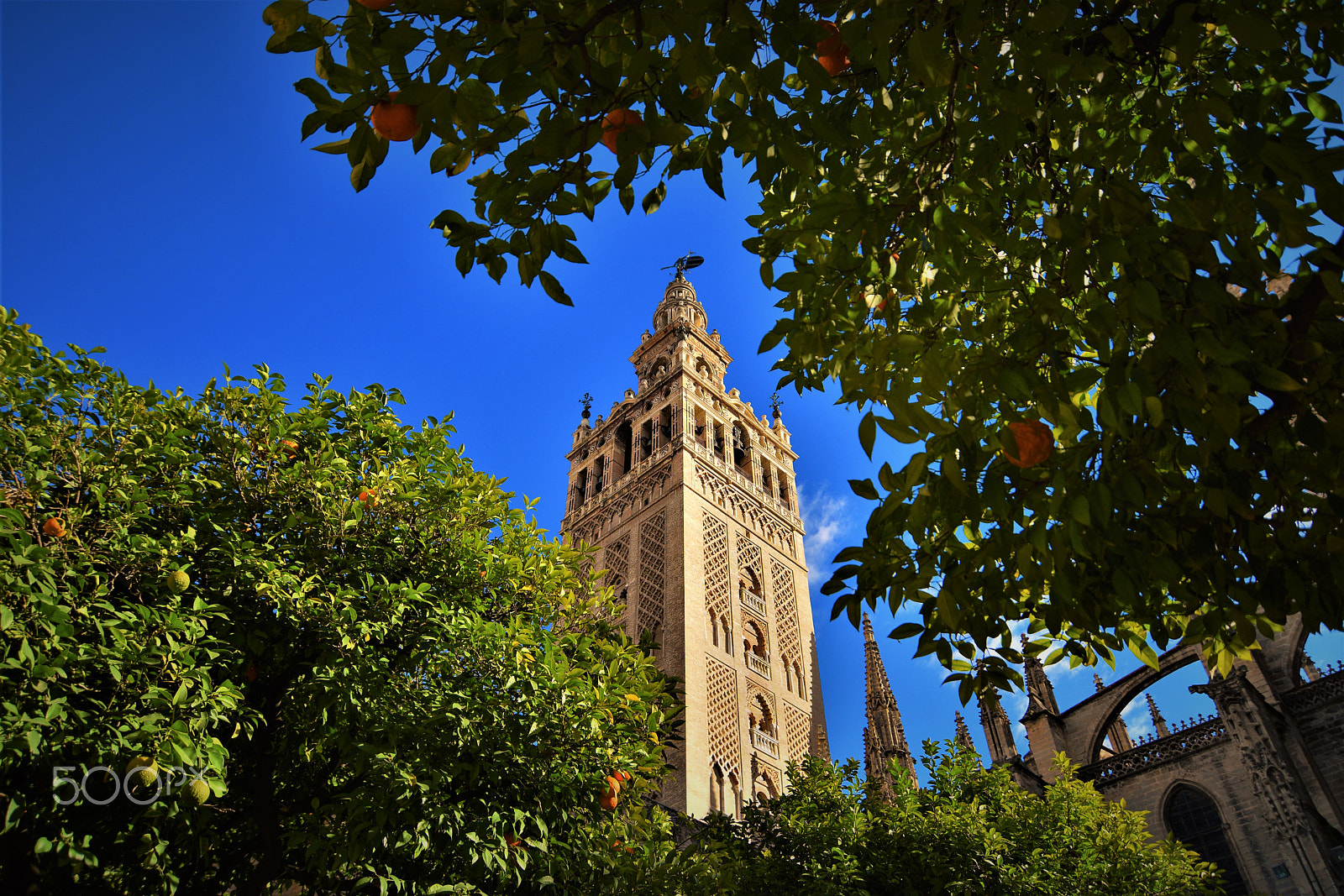 Nikon D3300 sample photo. Seville cathedral 3 photography