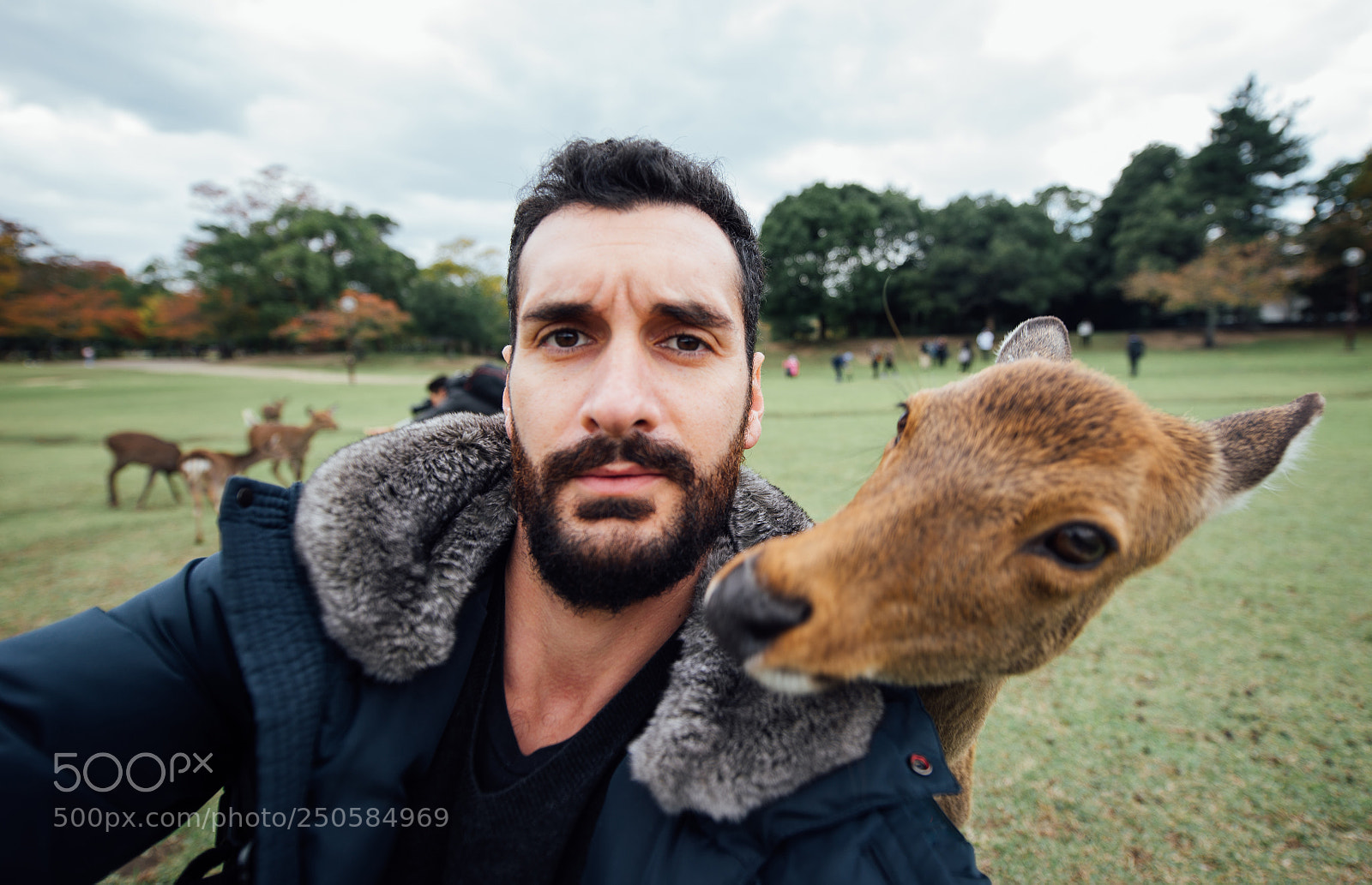 Nikon D610 sample photo. Deers and animals in photography