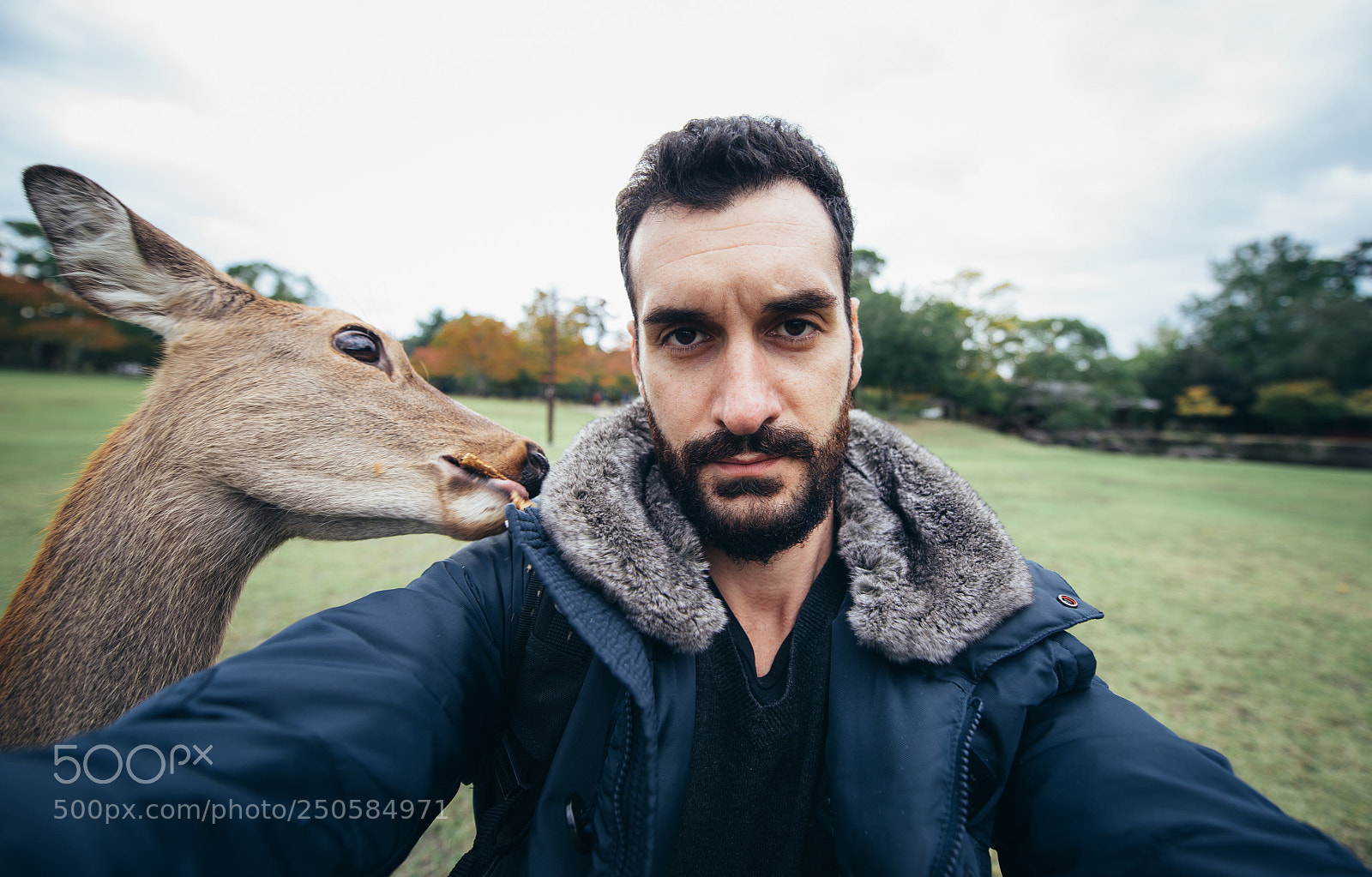 Nikon D610 sample photo. Deers and animals in photography