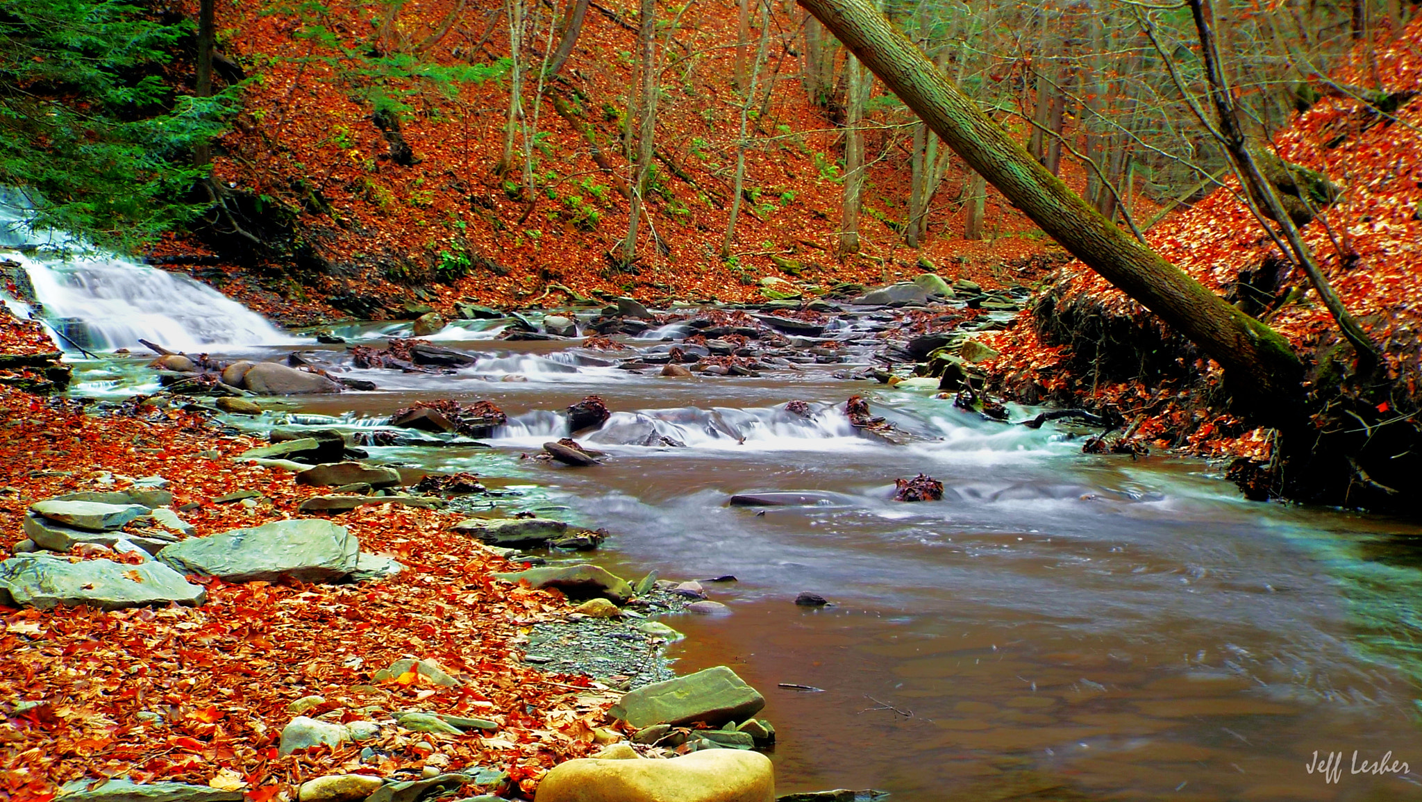 Fujifilm FinePix S8400W sample photo. Grimes glen remembered photography