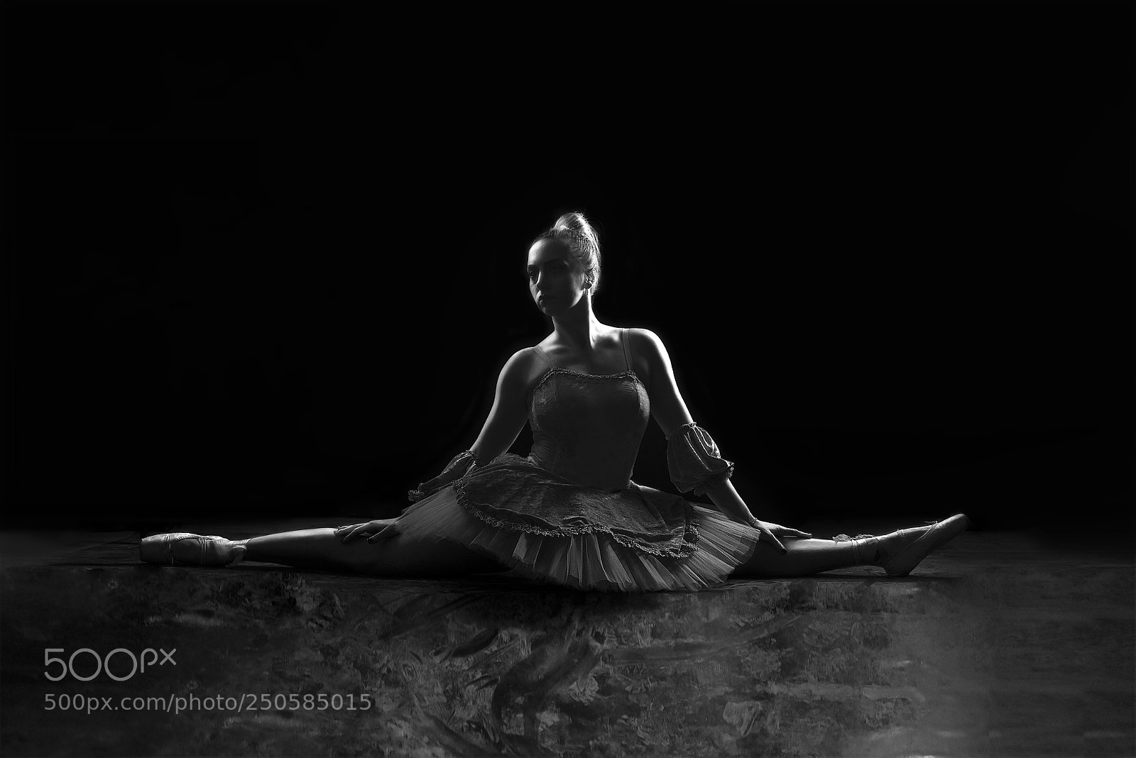 Nikon D800 sample photo. Ballerina project photography
