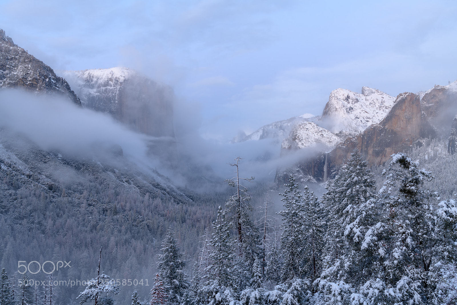 Nikon D850 sample photo. Tunnel view, yosemite national photography