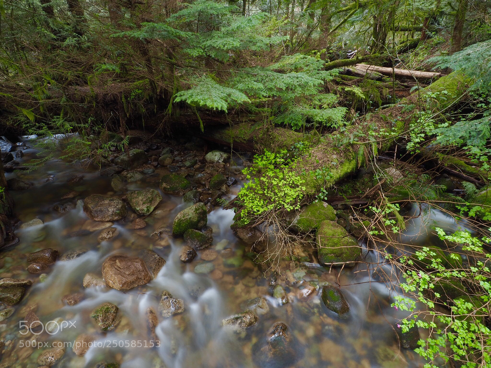 Olympus OM-D E-M5 II sample photo. Untitled photography