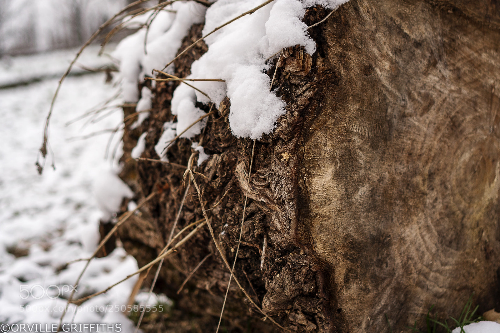 Sony a6500 sample photo. **snowkeh** nº1 photography