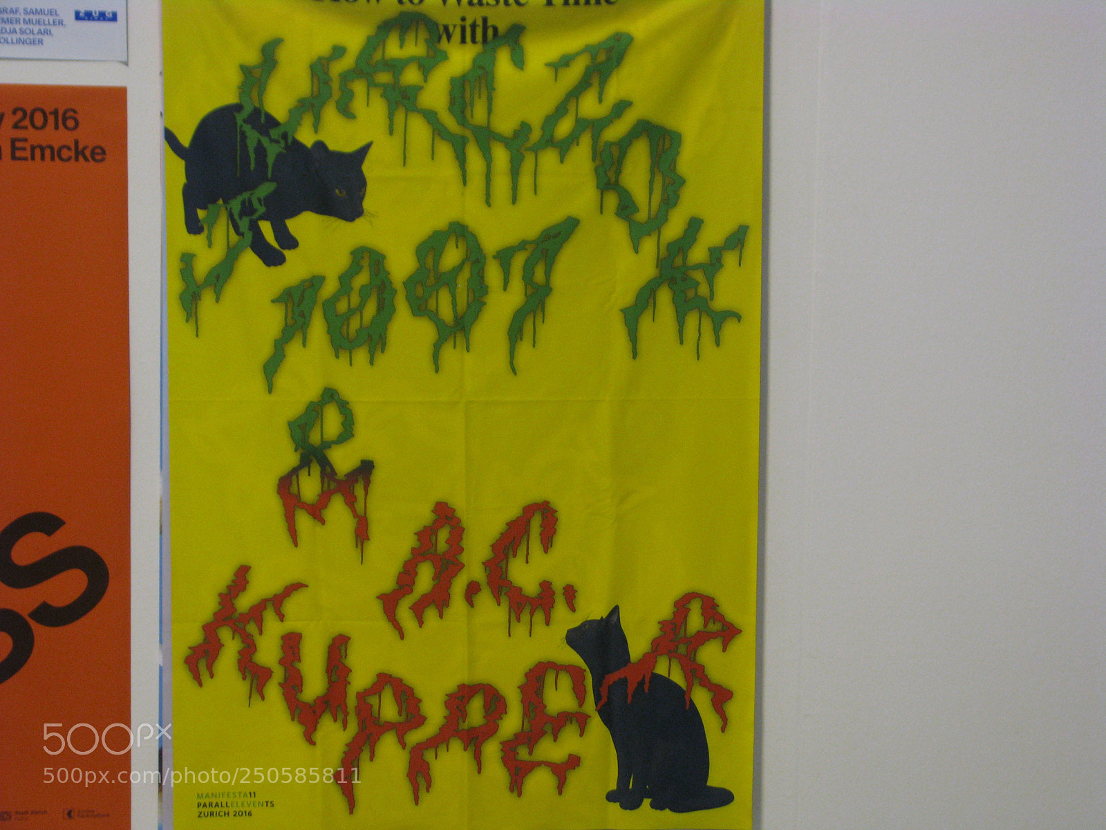 Canon POWERSHOT S5 IS sample photo. A.c.kupper black cats photography