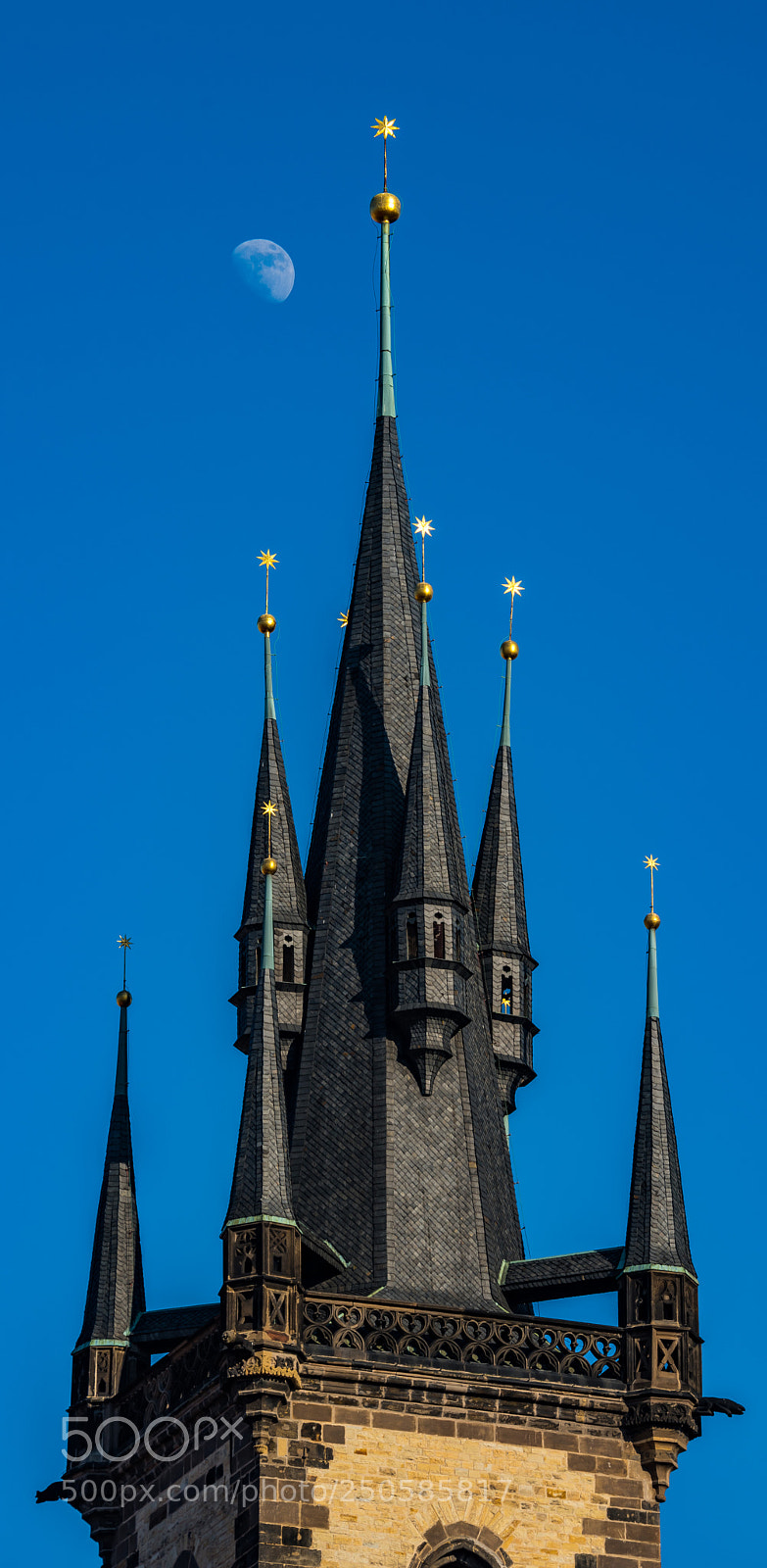 Nikon D810 sample photo. Moon's day photography
