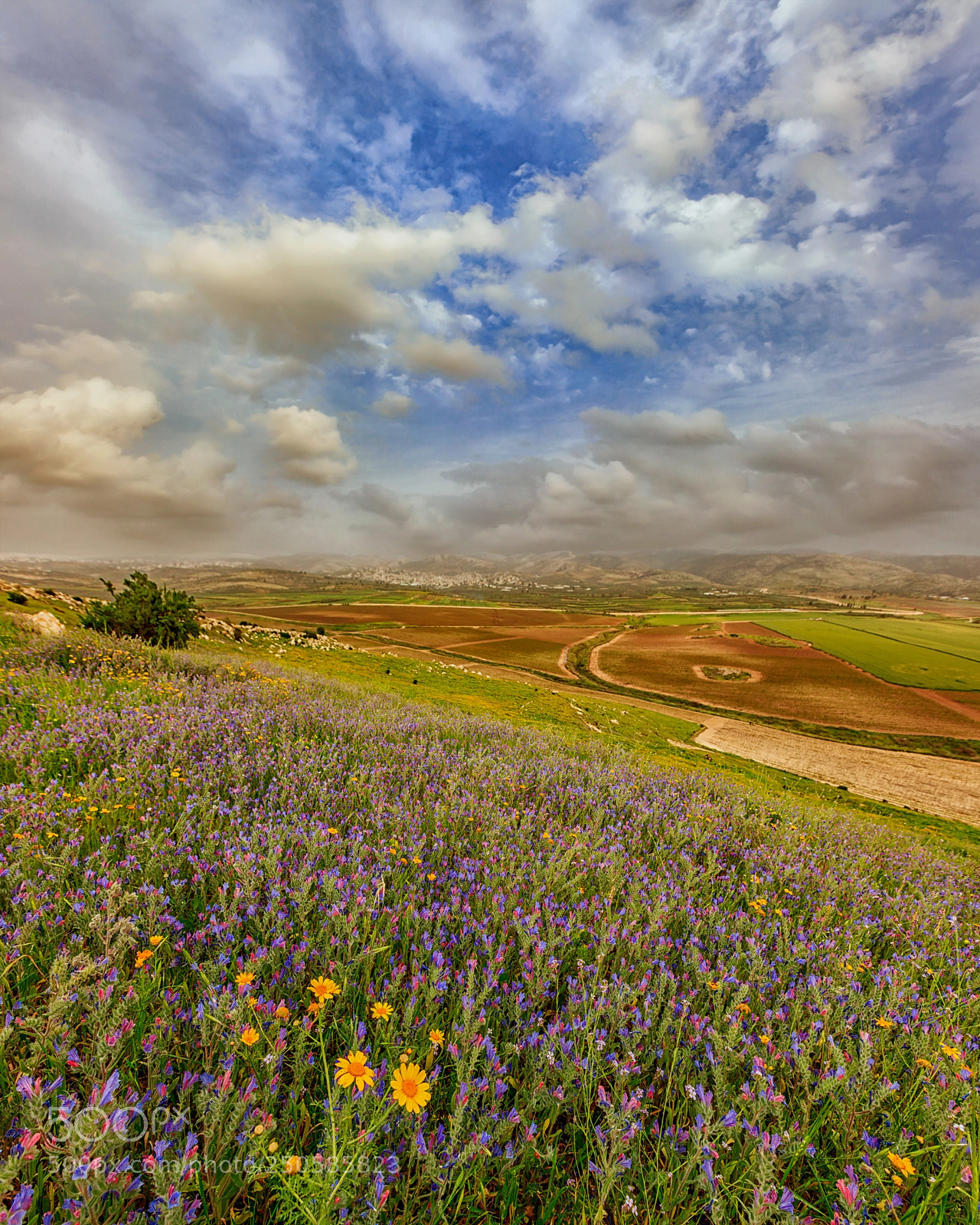 Canon EOS 5DS sample photo. Spring, near modiin photography