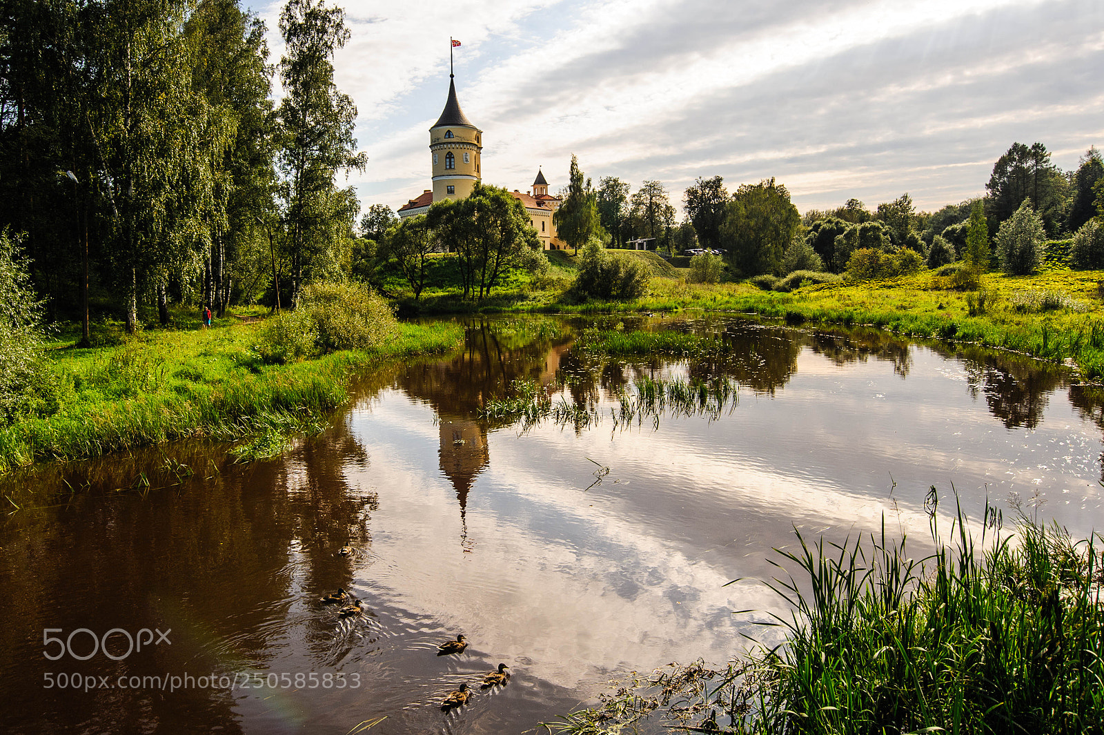 Nikon D700 sample photo. Замок "Бип" в Павловске photography