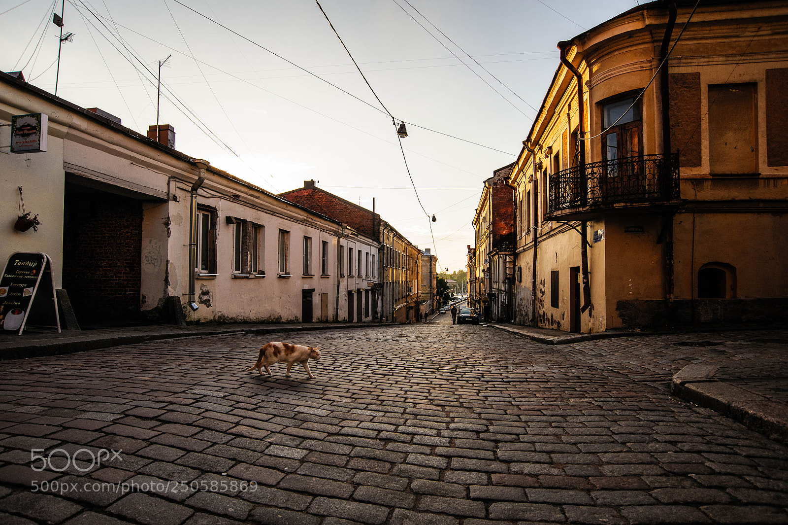 Nikon D700 sample photo. Выборгская улица photography
