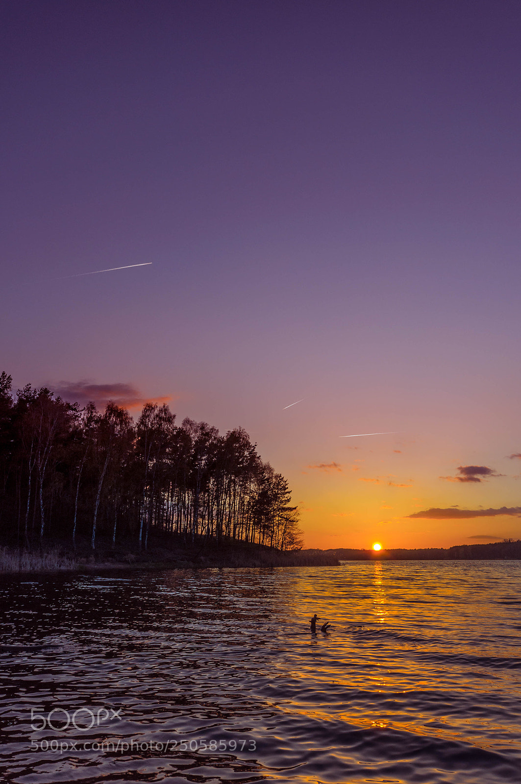 Nikon D90 sample photo. Sunset photography
