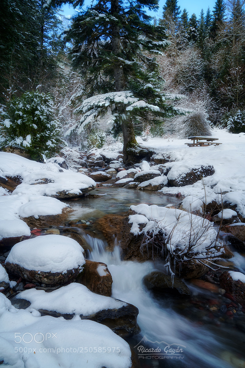 Sony a7R III sample photo. Snowy stream photography