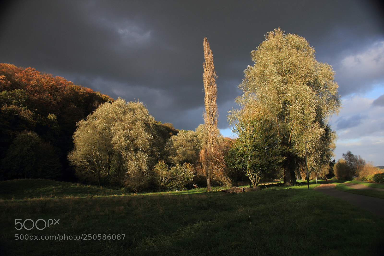 Canon EF-S 18-135mm F3.5-5.6 IS sample photo. Magisches licht photography