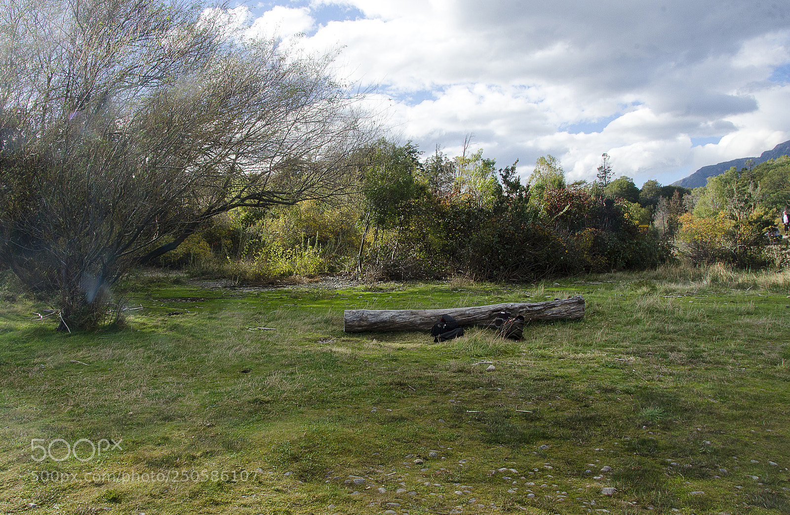 Nikon D7000 sample photo. Descanso photography