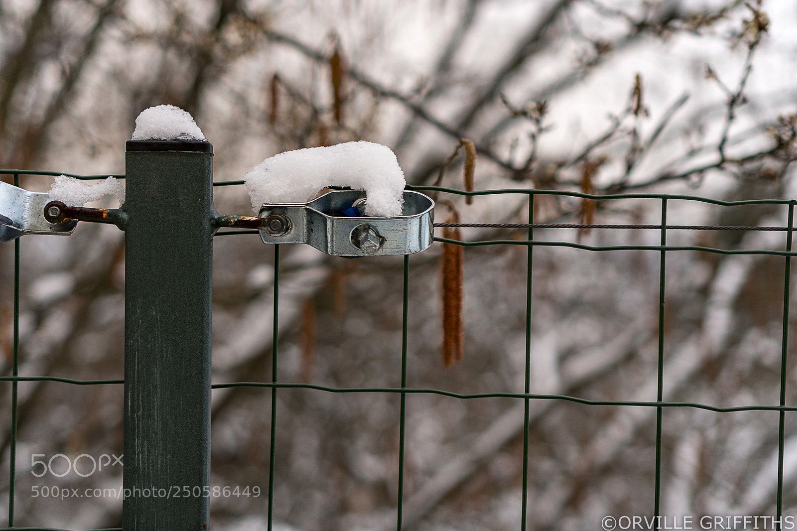 Sony a6500 sample photo. **snowkeh** nº2 photography