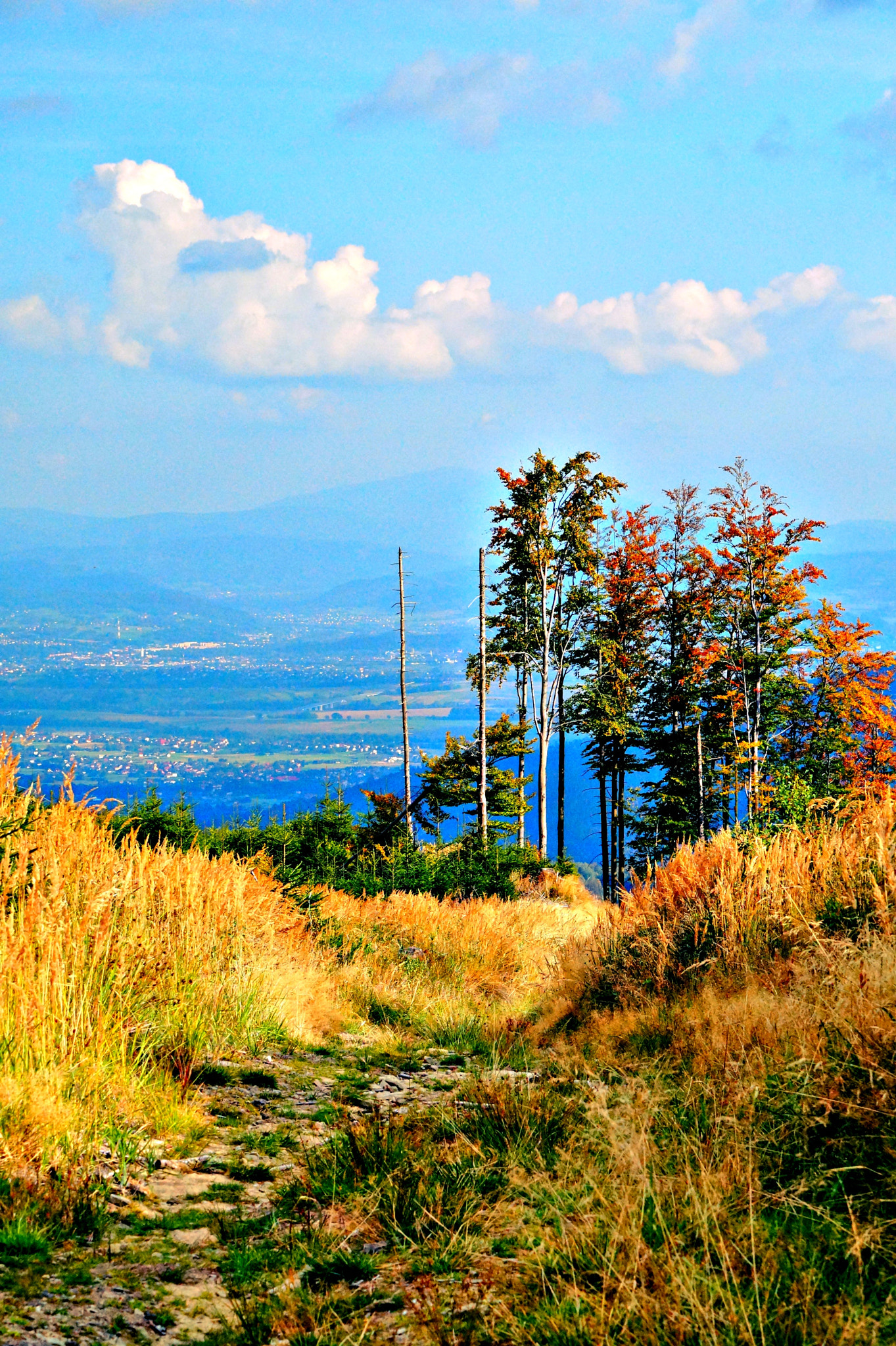 Sony DT 55-200mm F4-5.6 SAM sample photo. High in the mountains photography