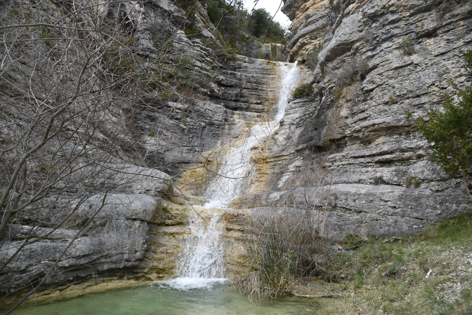 Nikon D5600 sample photo