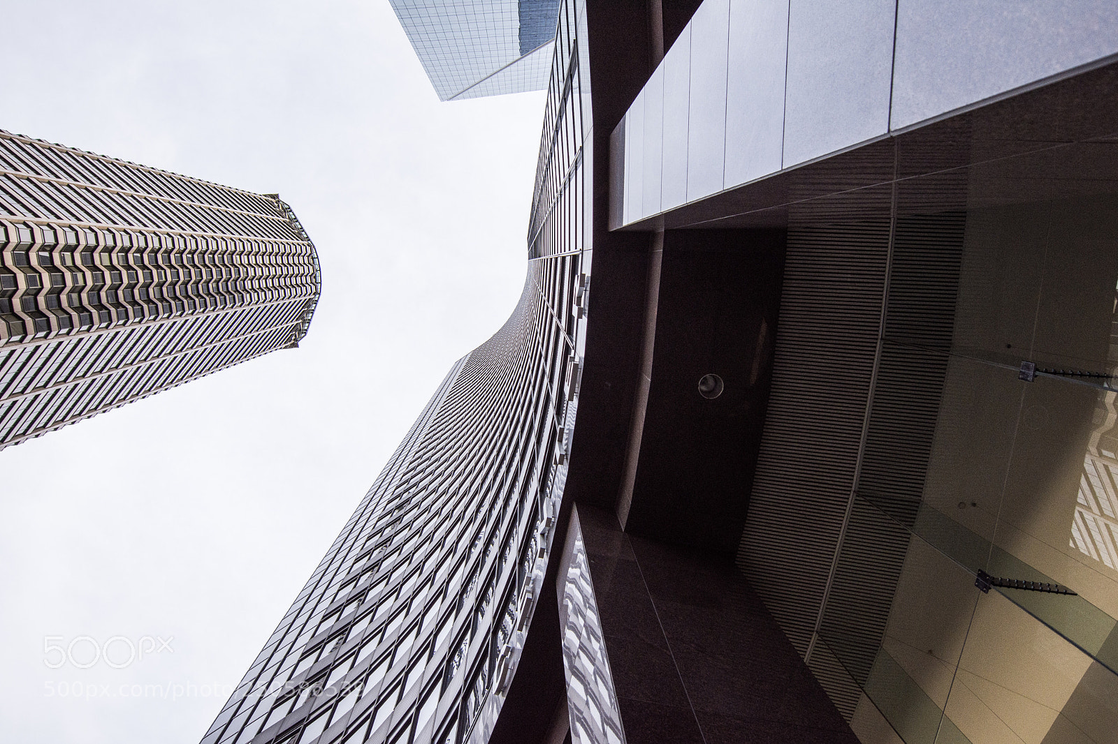 Nikon D7200 sample photo. Straight up! photography