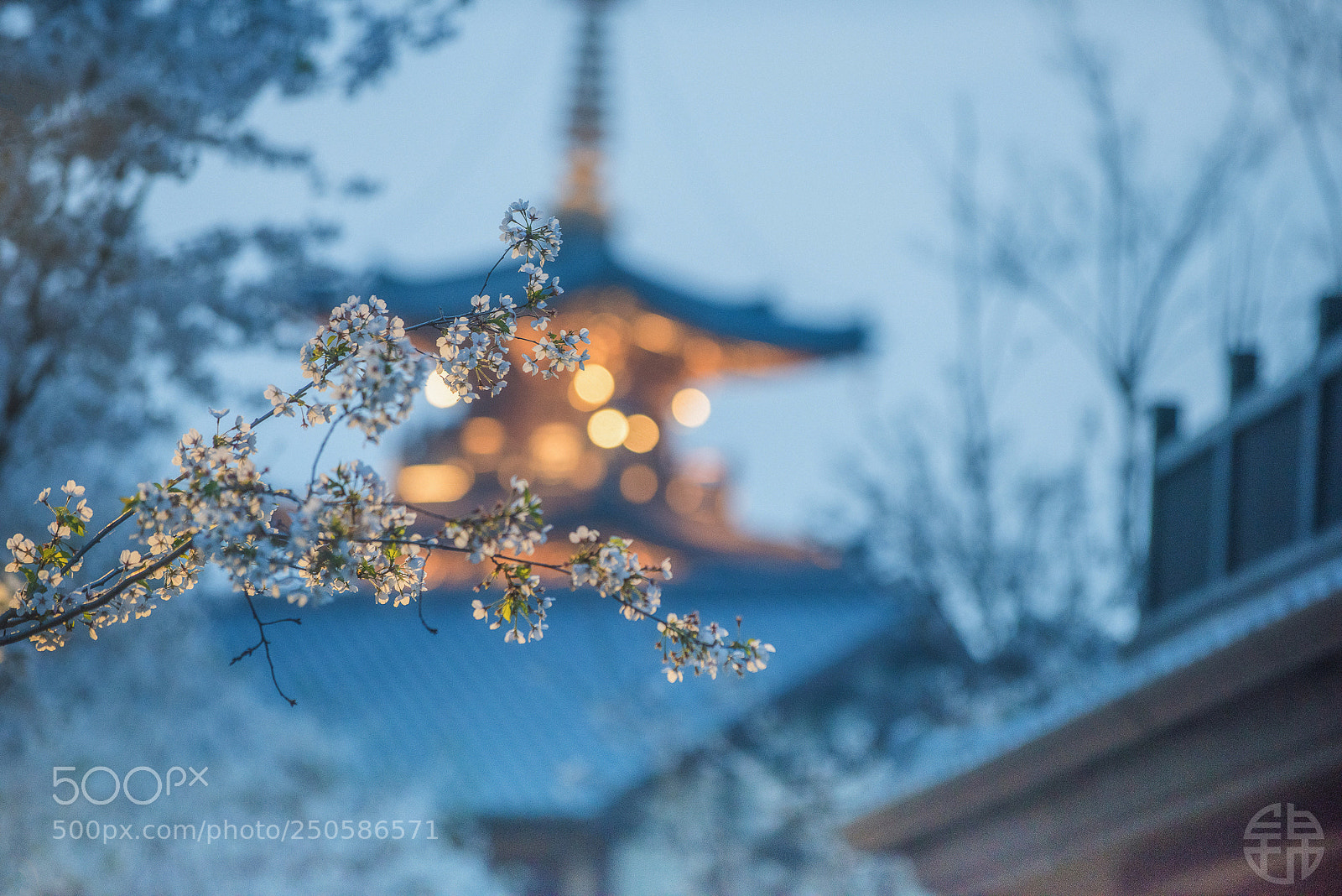 Nikon D810 sample photo. Untitled photography