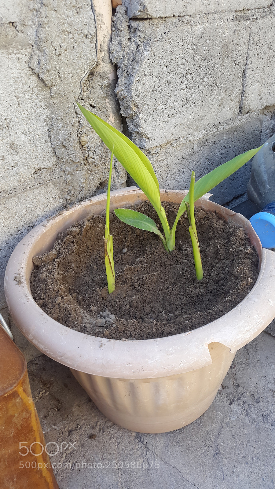 Samsung Galaxy S5 sample photo. Untitled photography