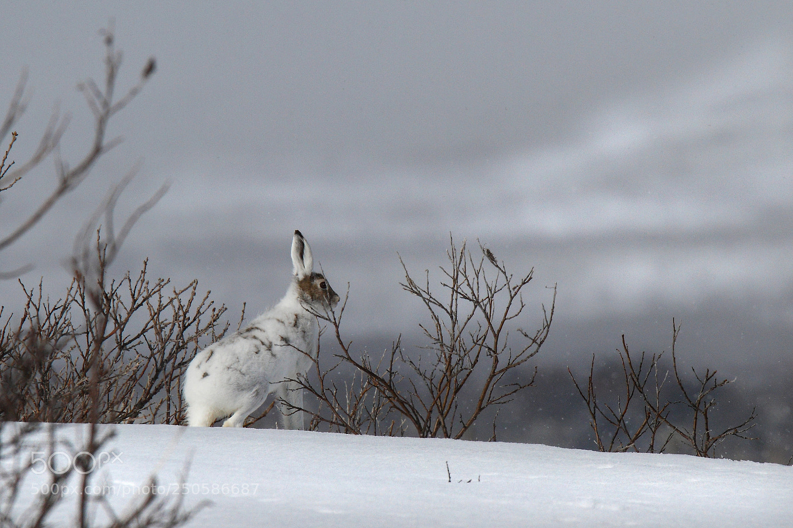 Canon EOS 7D sample photo. You do not see photography