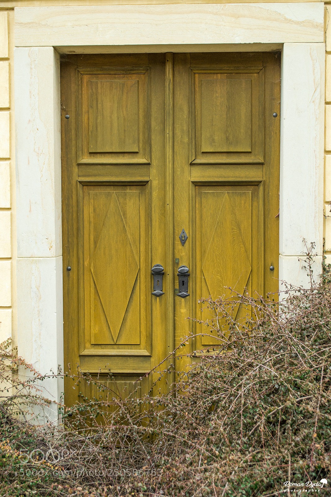 Nikon D3100 sample photo. The entrance is closed! photography
