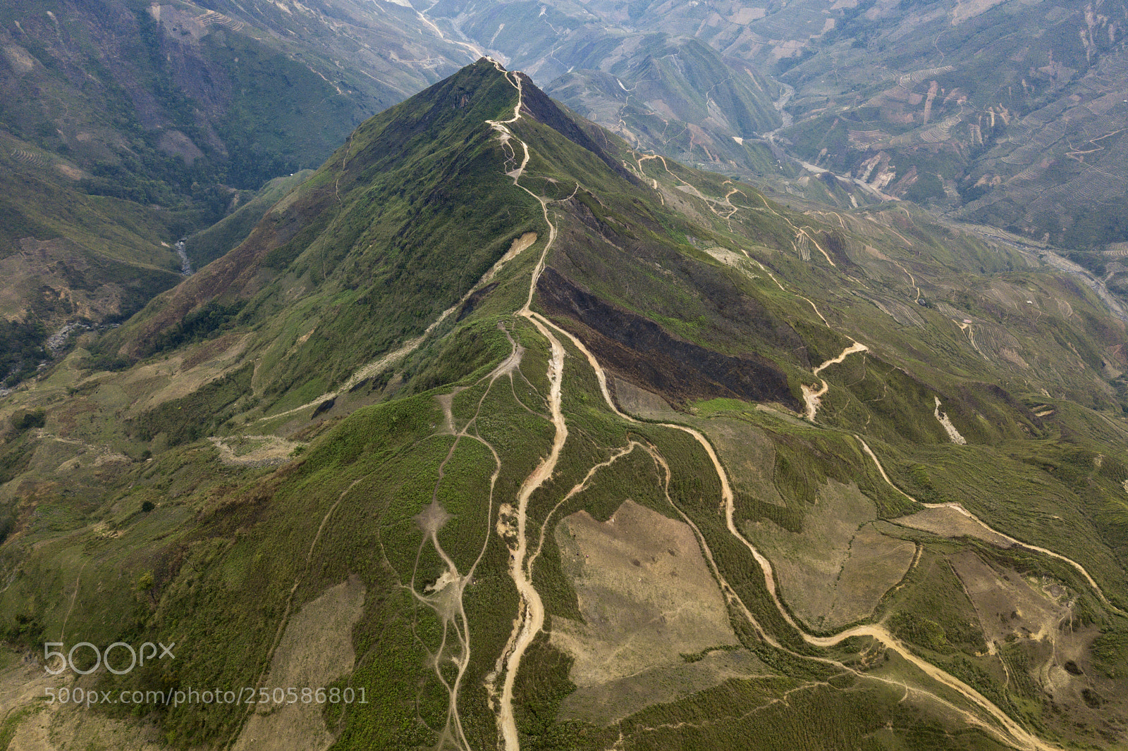 DJI FC220 sample photo. Dinosaur spine photography