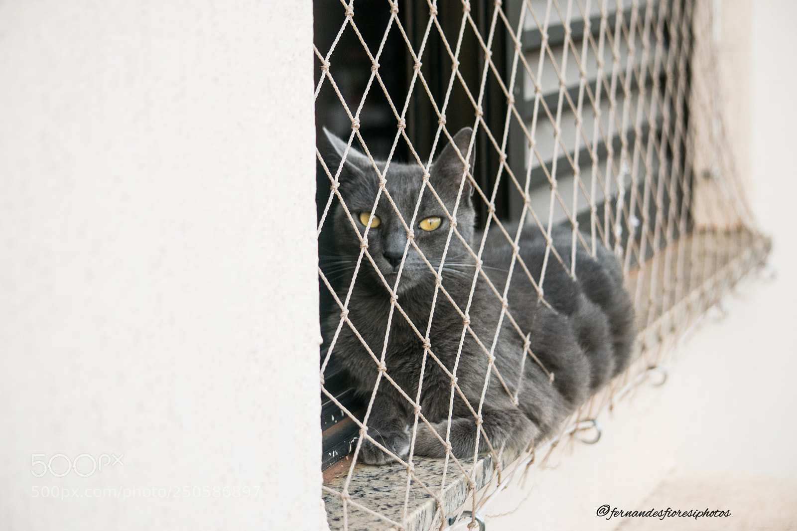 Nikon D5300 sample photo. Some with 55-300 lens photography