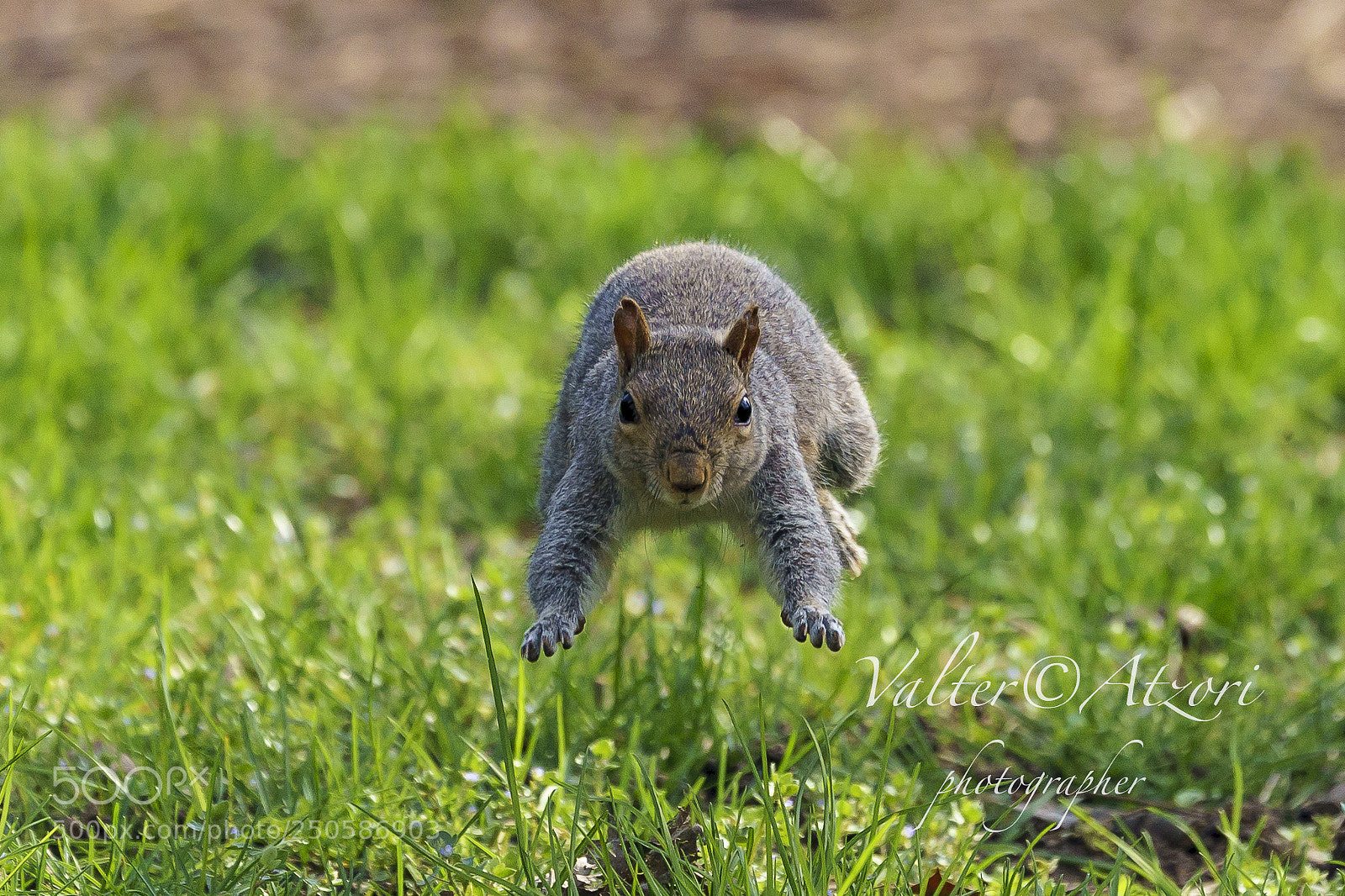 Sony a9 sample photo. I am going!! photography