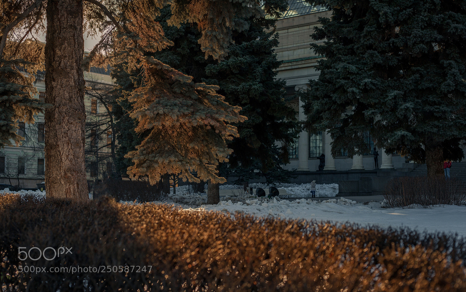 Canon EOS 5D Mark II sample photo. Untitled photography