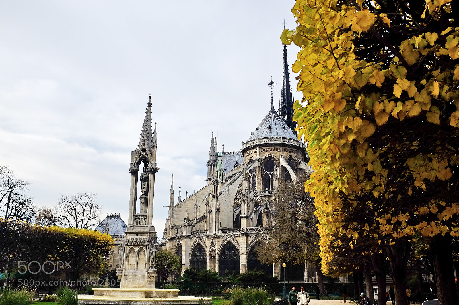 Fujifilm X100S sample photo. Golden winter, notre-dame photography