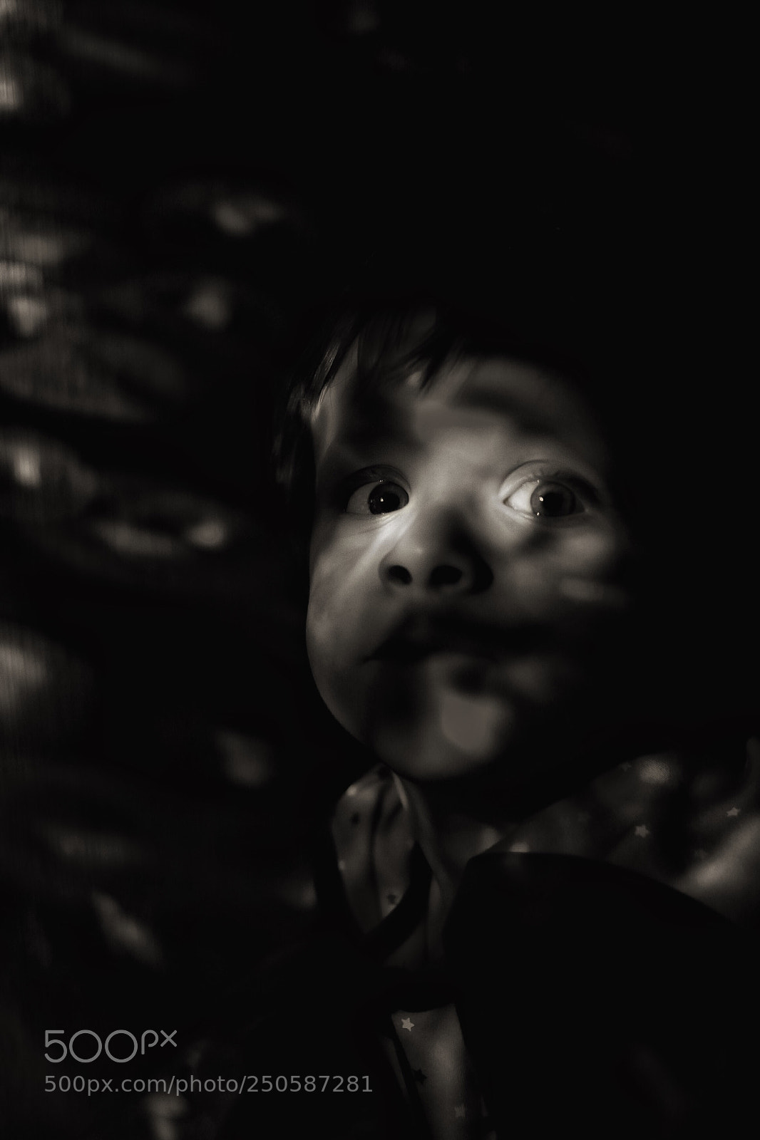 Canon EOS-1D Mark II sample photo. Where s the light photography