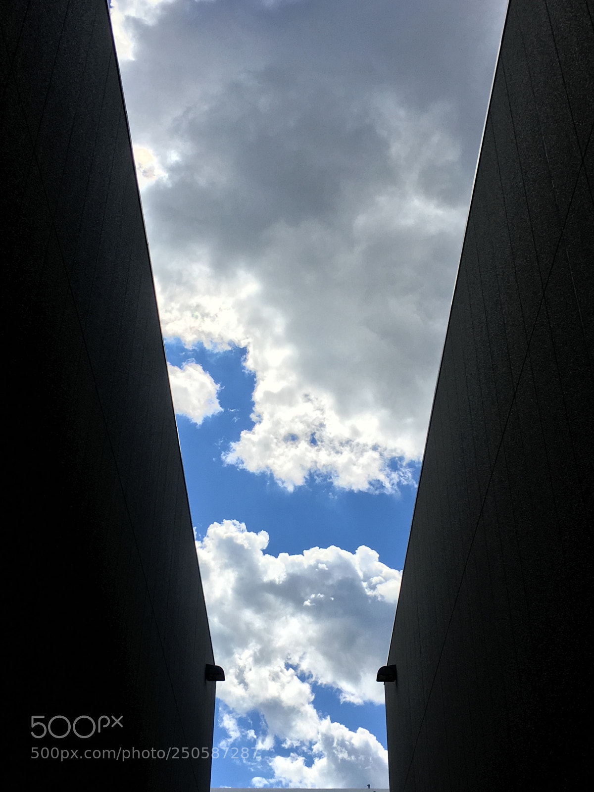 Apple iPhone 6s sample photo. Untitled photography