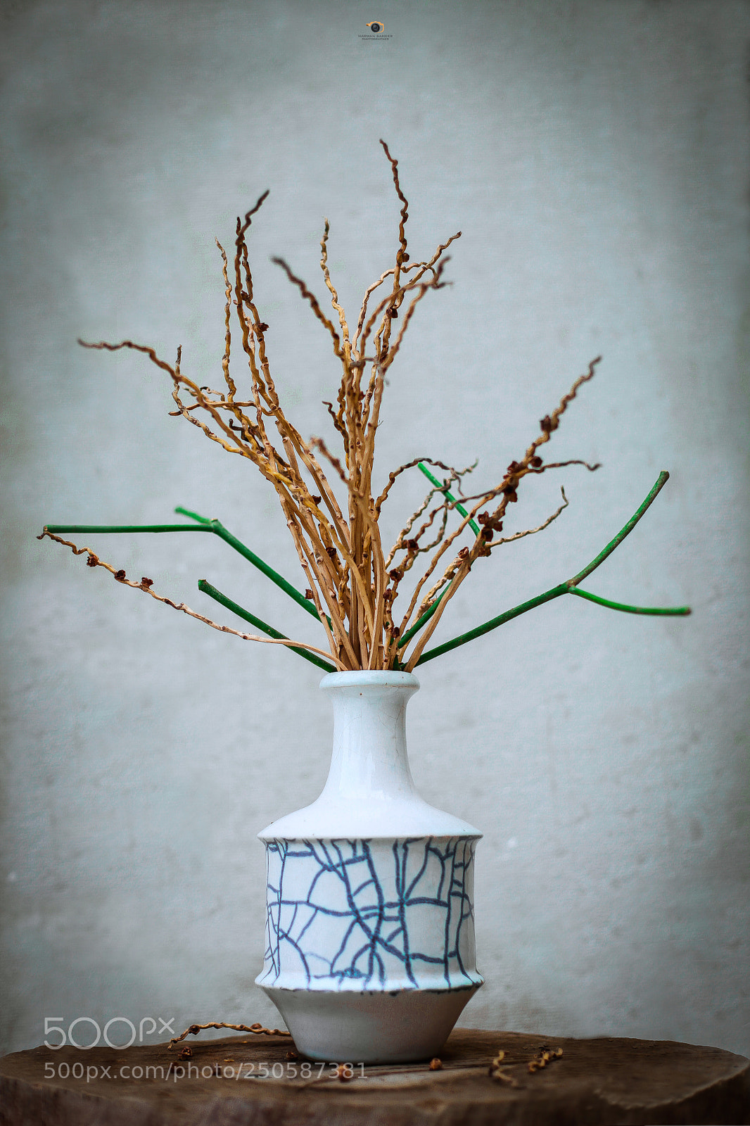 Canon EOS 5D Mark II sample photo. Still life  photography