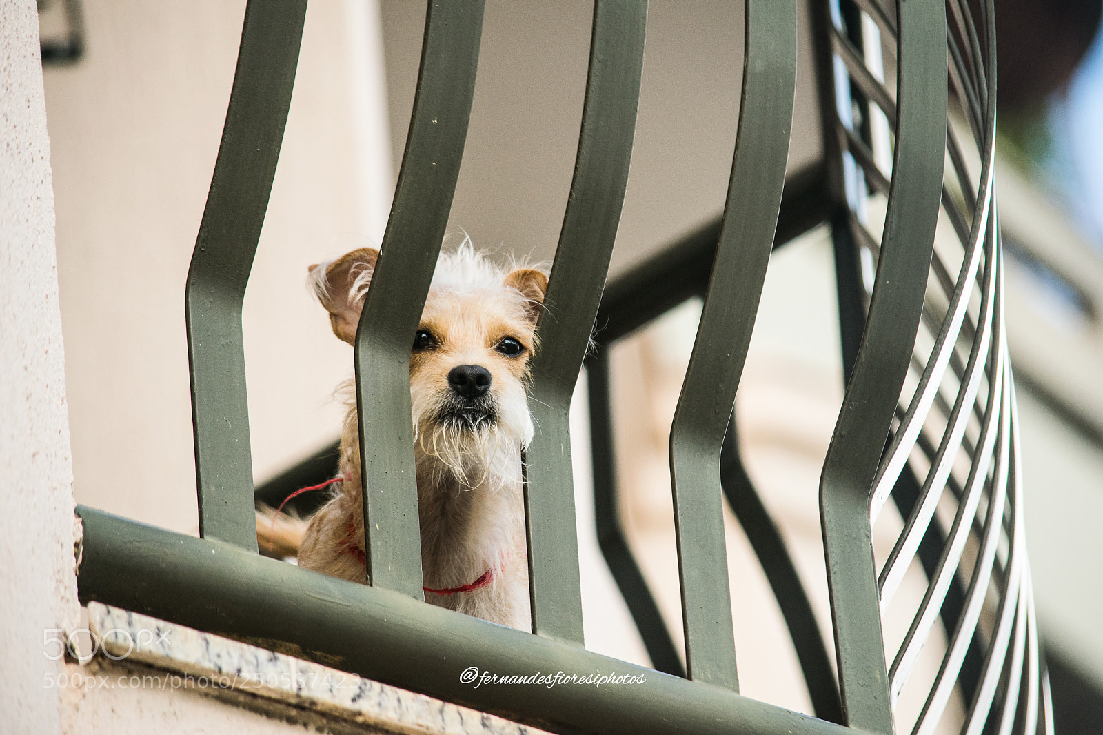 Nikon D5300 sample photo. Some with 55-300 lens photography
