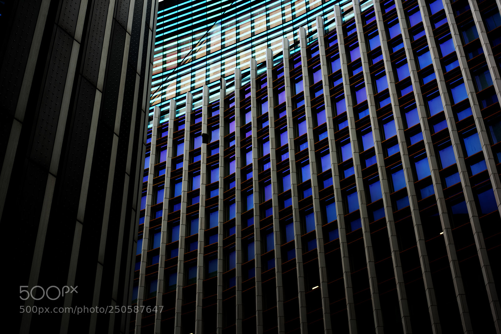 Nikon D810 sample photo. Untitled photography