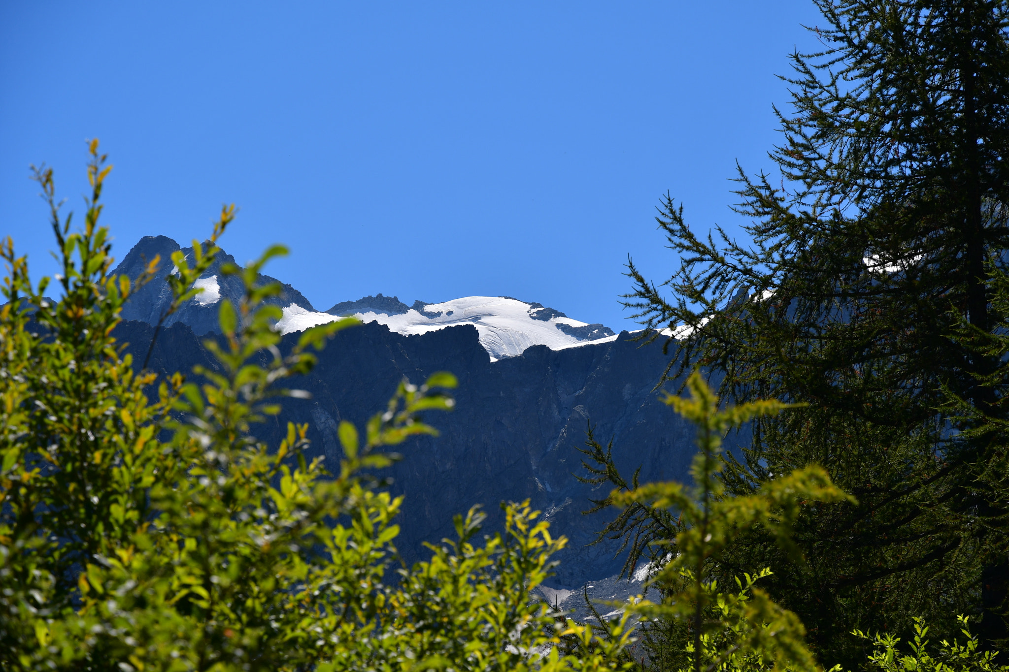 Nikon D500 sample photo. Verso presena photography