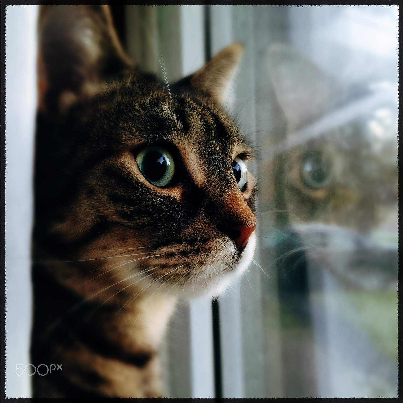 Hipstamatic 322 sample photo. Tasha in her window photography