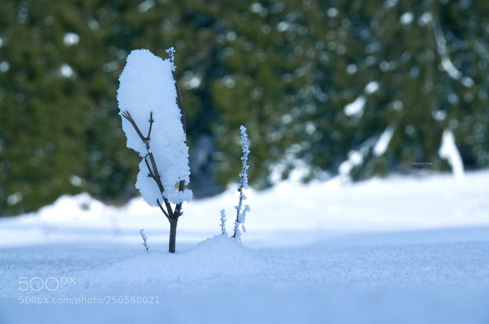 Panasonic Lumix DMC-G7 sample photo. Snowkeeper photography