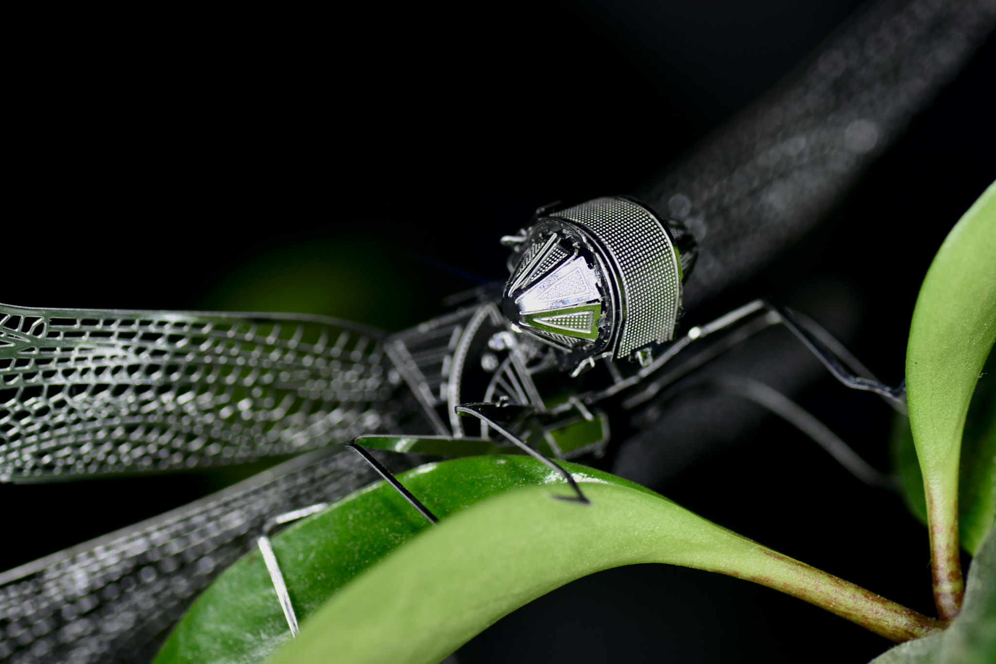 Nikon D5500 sample photo. Iron dragonfly photography