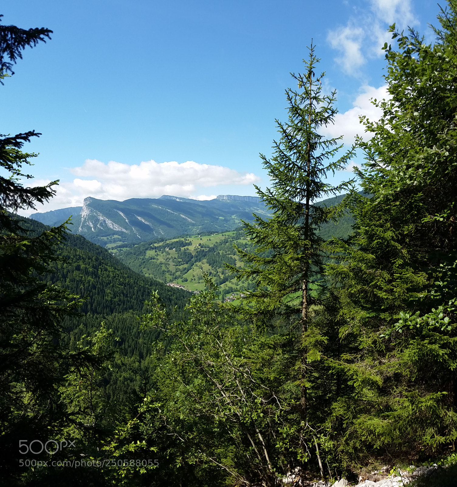 Samsung Galaxy S5 sample photo. 20170813_151615.jpg photography