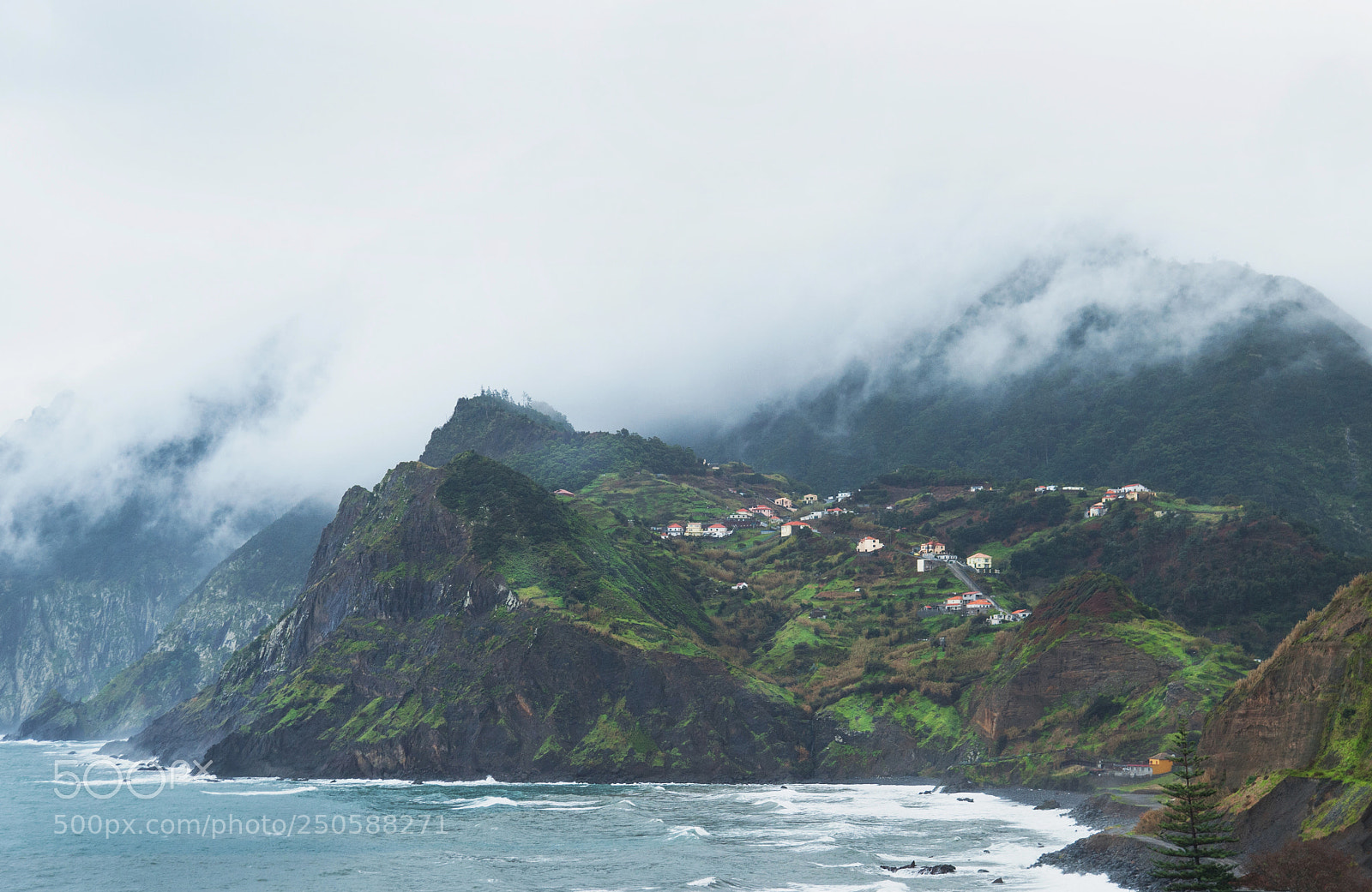 Nikon D700 sample photo. Madeira photography