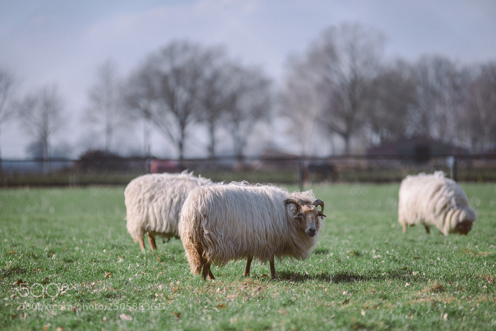 Nikon D800 sample photo. I 'm watching you photography