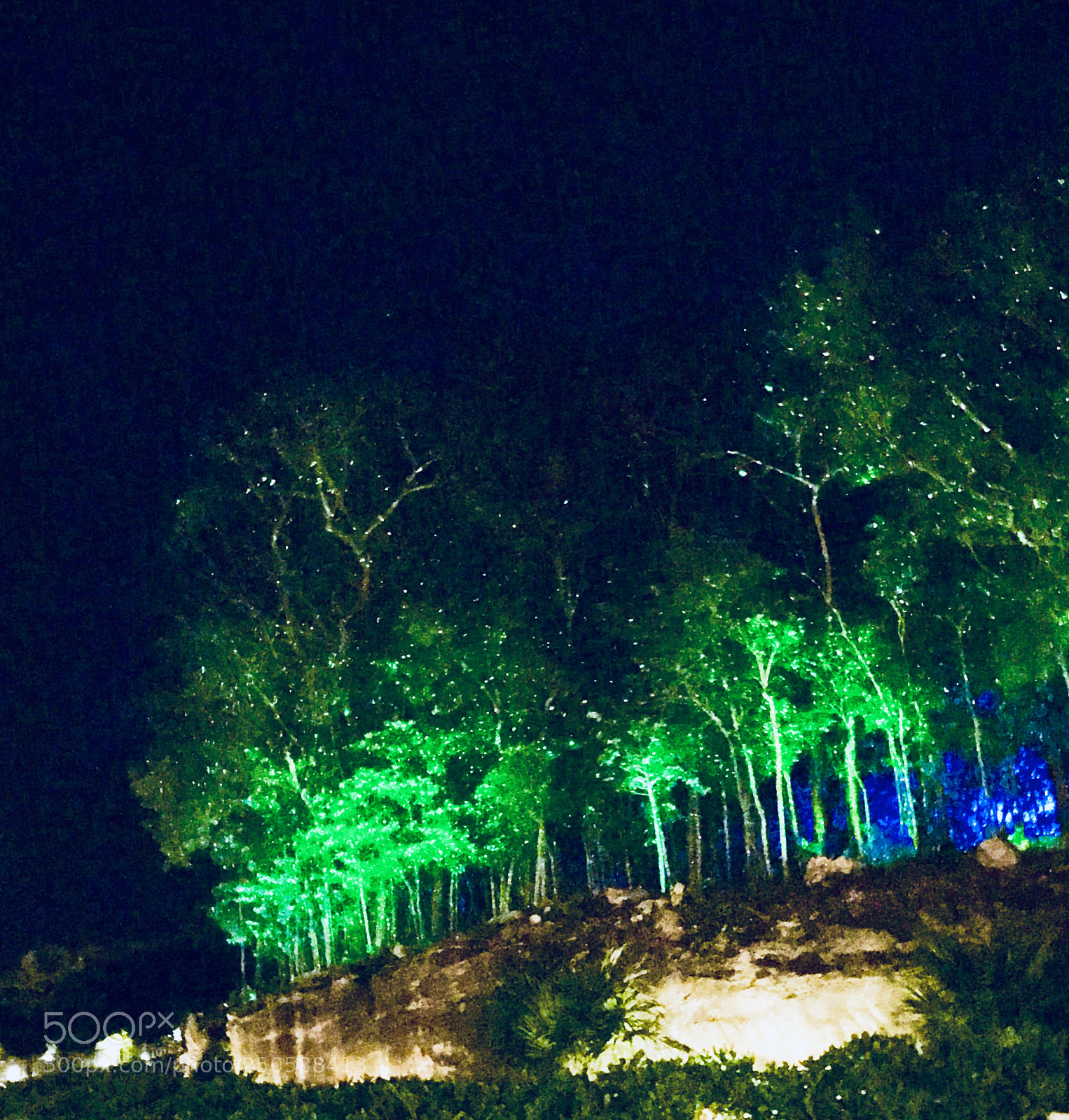 Apple iPhone 7 sample photo. Magical evening photography