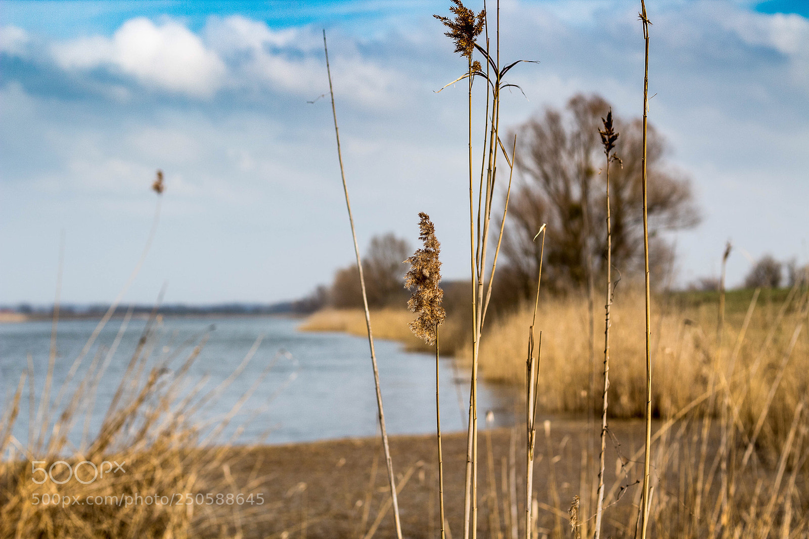 Canon EOS 1300D (EOS Rebel T6 / EOS Kiss X80) sample photo. Kopacki rit photography