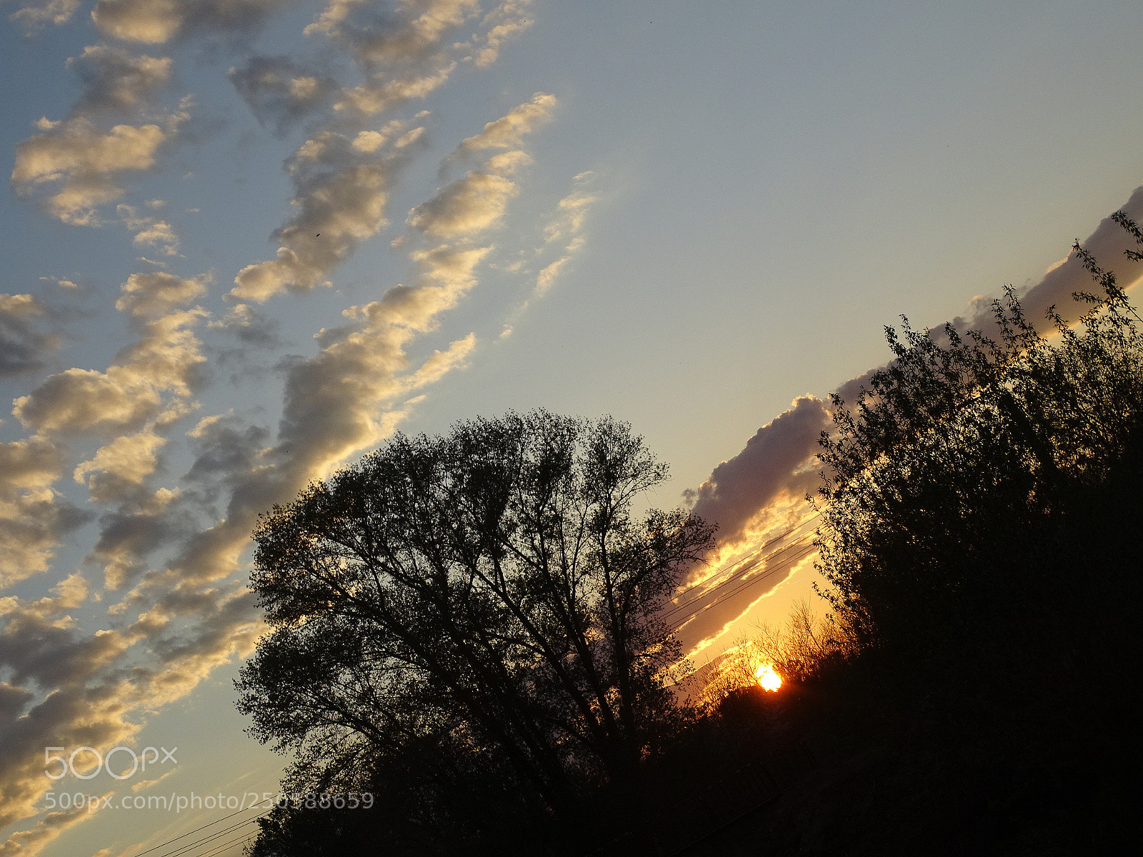 Sony Cyber-shot DSC-HX400V sample photo. Dsc photography