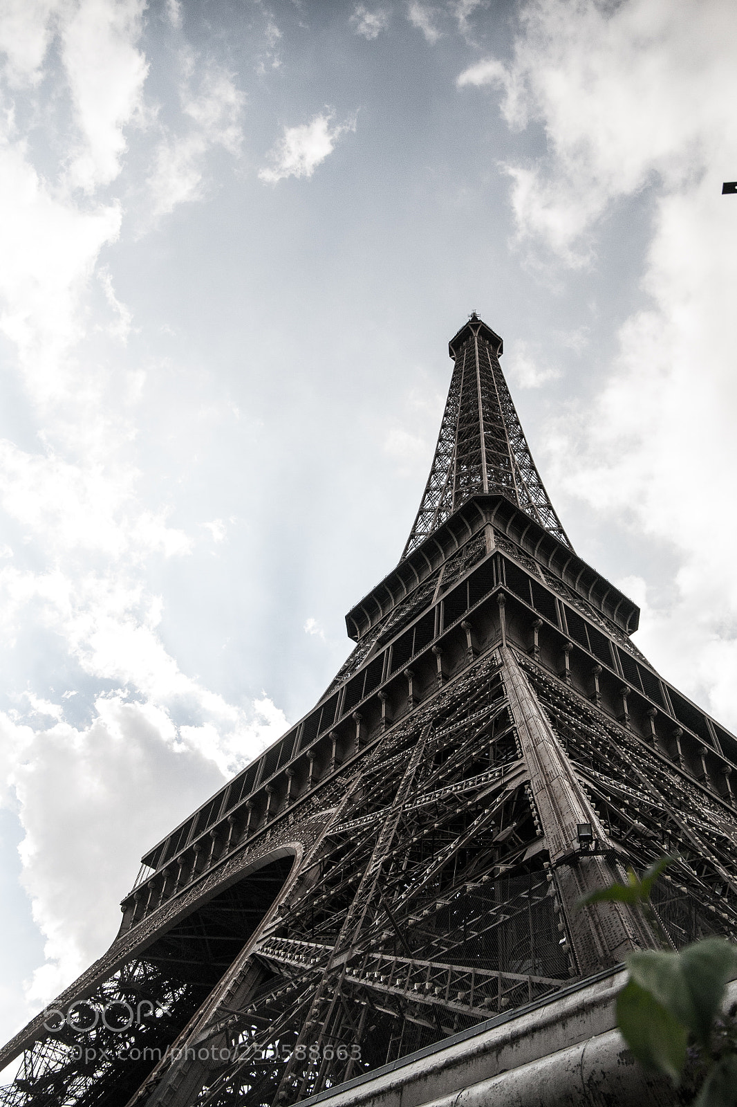 Canon EOS 5D sample photo. Oui, absolument photography