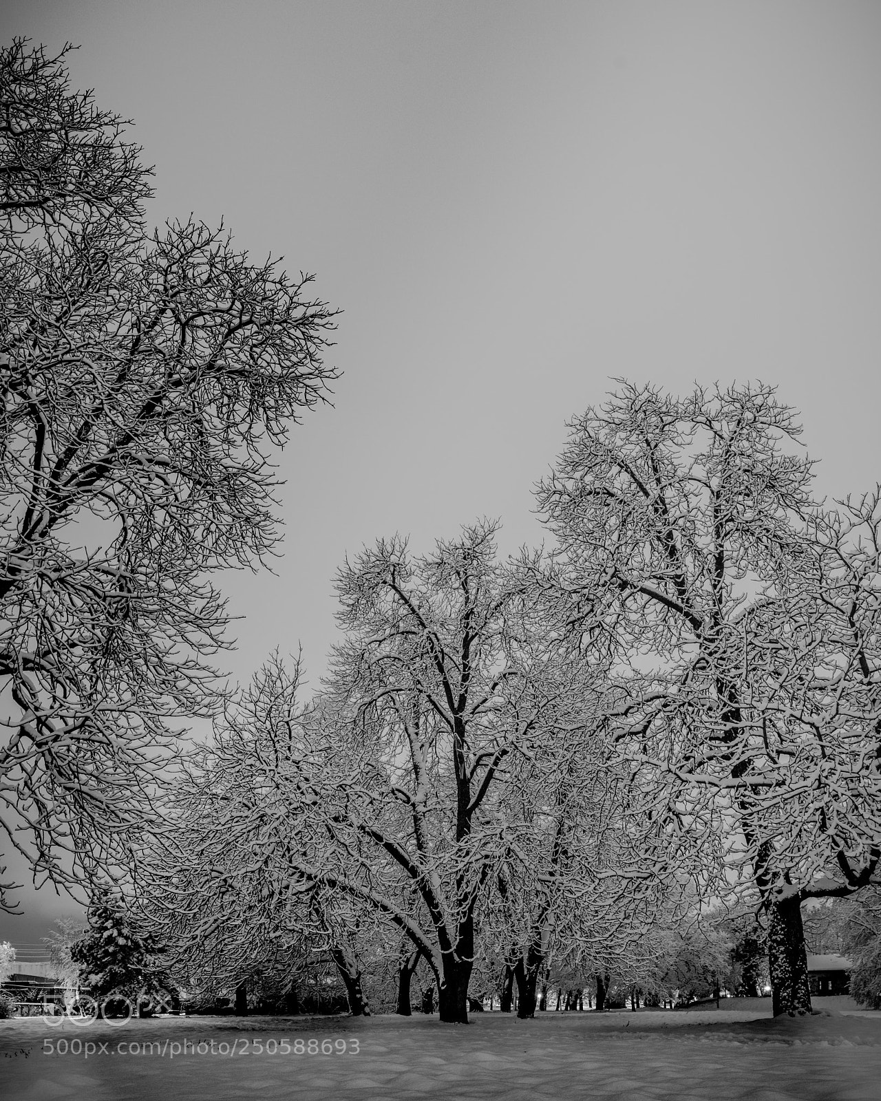 Nikon D5300 sample photo. Bw nightout photography